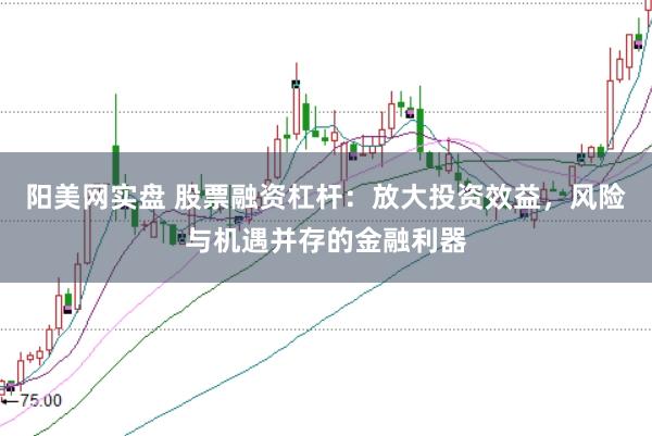 阳美网实盘 股票融资杠杆：放大投资效益，风险与机遇并存的金融利器