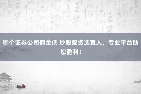 哪个证券公司佣金低 炒股配资选宜人，专业平台助您盈利！