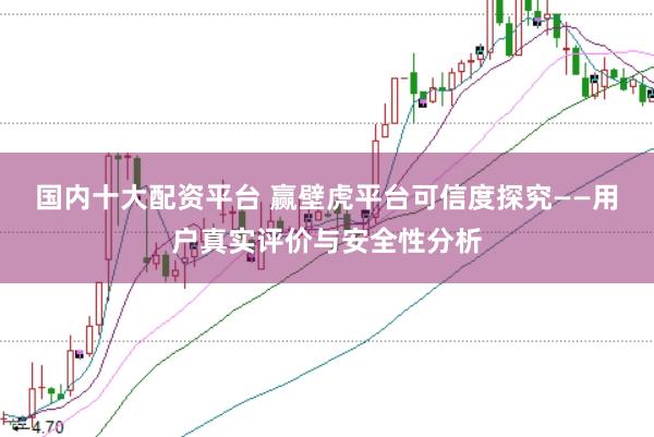 国内十大配资平台 赢壁虎平台可信度探究——用户真实评价与安全性分析