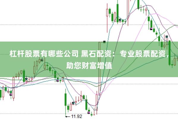 杠杆股票有哪些公司 黑石配资：专业股票配资，助您财富增值