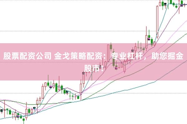 股票配资公司 金戈策略配资：专业杠杆，助您掘金股市！