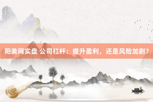 阳美网实盘 公司杠杆：提升盈利，还是风险加剧？