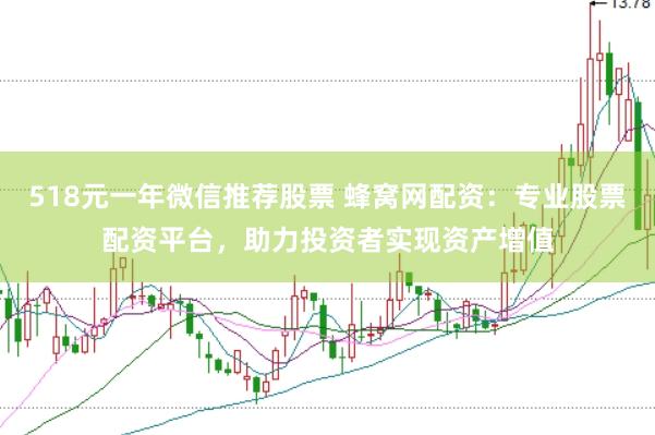 518元一年微信推荐股票 蜂窝网配资：专业股票配资平台，助力投资者实现资产增值