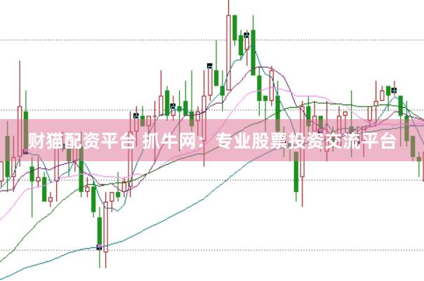 财猫配资平台 抓牛网：专业股票投资交流平台