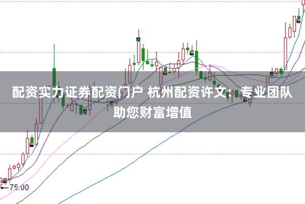 配资实力证券配资门户 杭州配资许文：专业团队助您财富增值