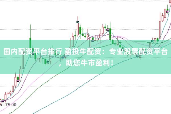 国内配资平台排行 盈投牛配资：专业股票配资平台，助您牛市盈利！