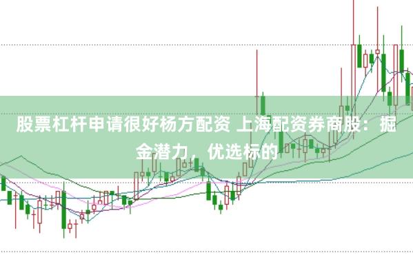 股票杠杆申请很好杨方配资 上海配资券商股：掘金潜力，优选标的