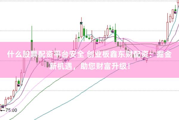 什么股票配资平台安全 创业板鑫东财配资：掘金新机遇，助您财富升级！