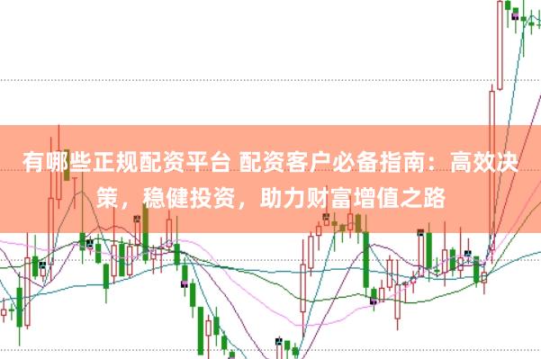 有哪些正规配资平台 配资客户必备指南：高效决策，稳健投资，助力财富增值之路