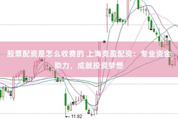 股票配资是怎么收费的 上海竞盈配资：专业资金助力，成就投资梦想