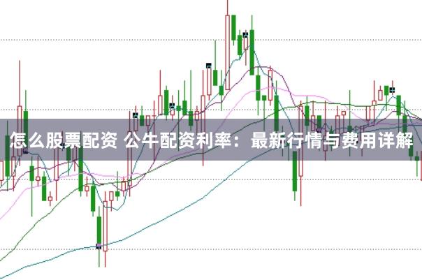 怎么股票配资 公牛配资利率：最新行情与费用详解