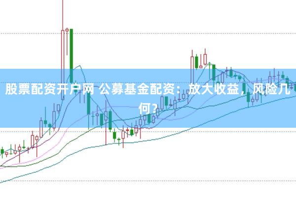 股票配资开户网 公募基金配资：放大收益，风险几何？