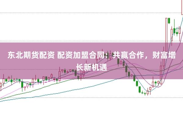东北期货配资 配资加盟合同：共赢合作，财富增长新机遇
