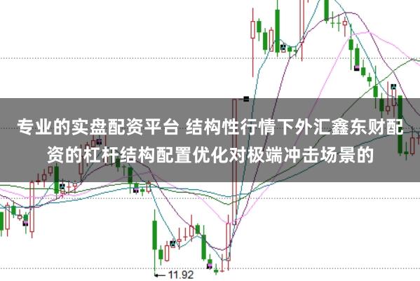 专业的实盘配资平台 结构性行情下外汇鑫东财配资的杠杆结构配置优化对极端冲击场景的