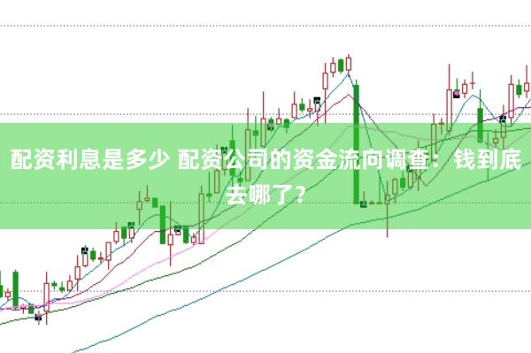 配资利息是多少 配资公司的资金流向调查：钱到底去哪了？