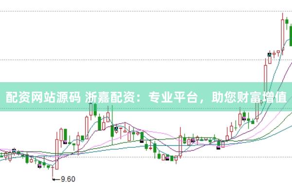 配资网站源码 浙嘉配资：专业平台，助您财富增值