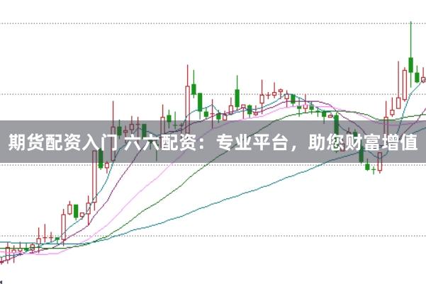 期货配资入门 六六配资：专业平台，助您财富增值