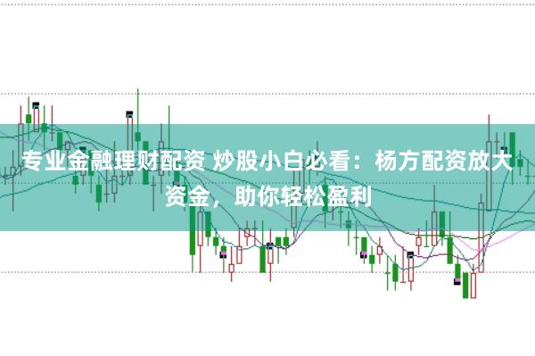 专业金融理财配资 炒股小白必看：杨方配资放大资金，助你轻松盈利