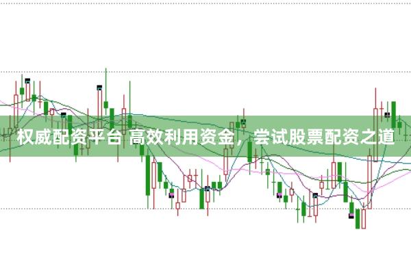 权威配资平台 高效利用资金，尝试股票配资之道